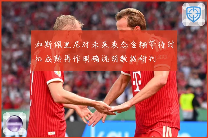 加斯佩里尼对未来表态含糊等待时机成熟再作明确说明数据研判