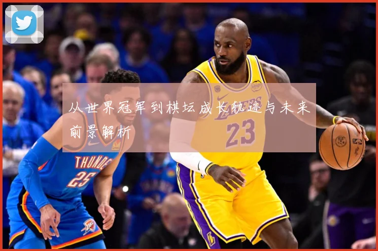 从世界冠军到棋坛成长轨迹与未来前景解析