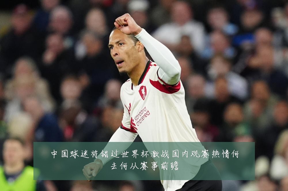 中国球迷将错过世界杯激战国内观赛热情何去何从赛事前瞻